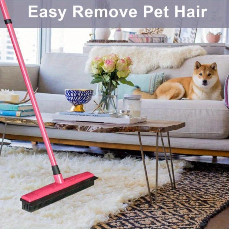 แปรงปัดขนสัตว์เลี้ยง 1 ชิ้น สำ - Carpet Extractor Machine บทวิจารณ์และราคา