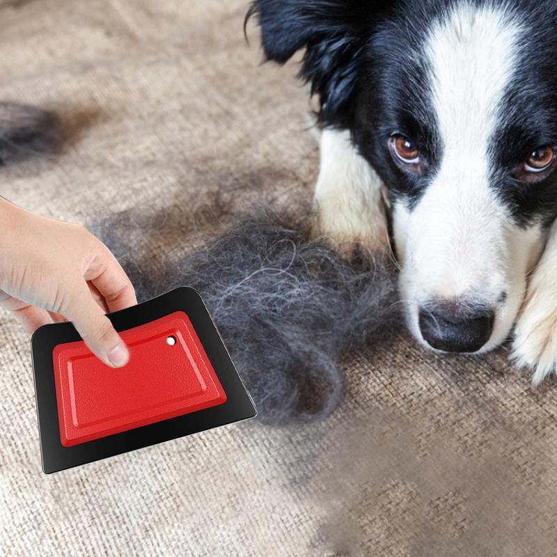 PET Hair Remover แปรงหวีสุนัข  - Carpet Extractor Machine บทวิจารณ์และราคา